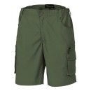 Pinewood Wildmark Shorts - Mid Green