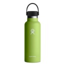 Hydroflask 18 oz Standard Mouth - Seagrass
