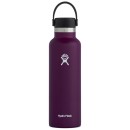 Hydroflask 21 oz Standard Mouth - Eggplant