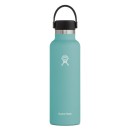 Hydroflask 21 oz Standard Mouth - Alpine