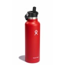 Hydroflask 21 oz Standard Flex Straw Cap - Goji