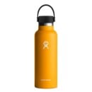 Hydroflask 18 oz Standard Mouth - Starfish