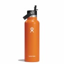 Hydroflask 21 oz Standard Flex Straw Cap - Mesa