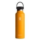 Hydroflask 21 oz Standard Mouth - Starfish