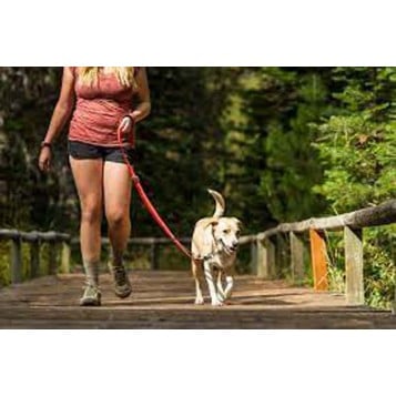 Ruffwear Roamer Leash