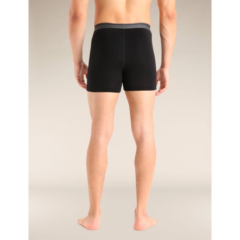 Icebreaker Anatomica Boxers