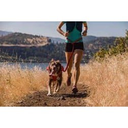 Ruffwear Roamer Leash