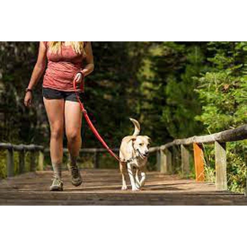 Ruffwear Roamer Leash