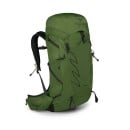 Osprey Talon 33 - Green Belt/Black