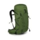 Osprey Talon 33 - Green Belt/Black