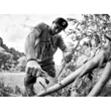 Gerber Pack Hatchet