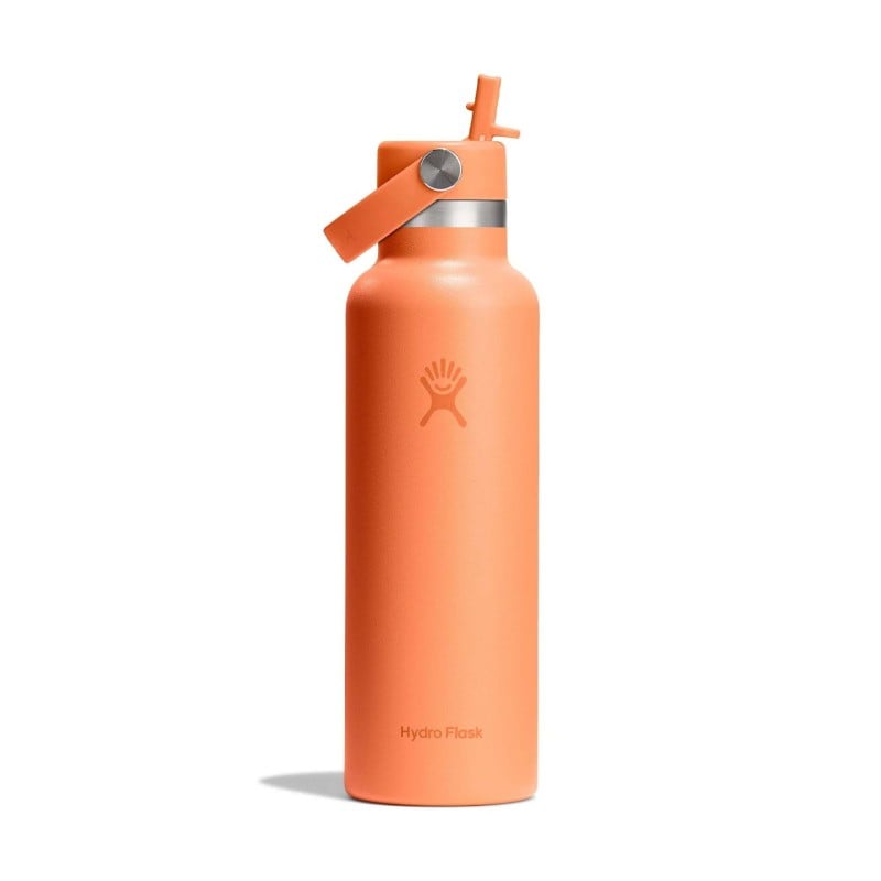 Hydroflask 21 oz Standard Flex Straw Cap
