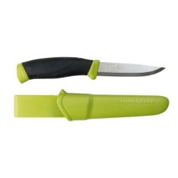Mora Companion