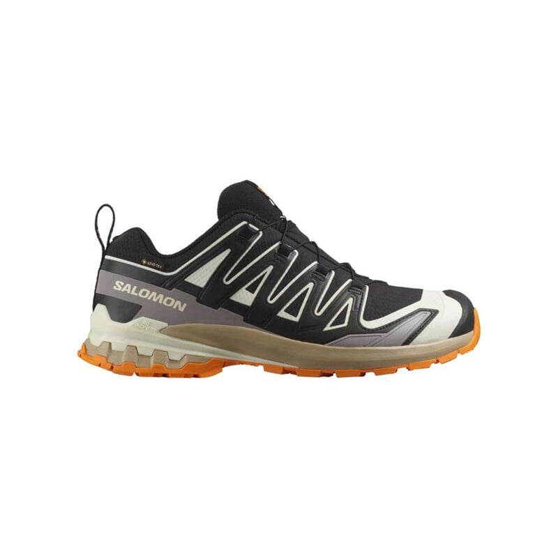 Salomon XA Pro 3D V9 GTX