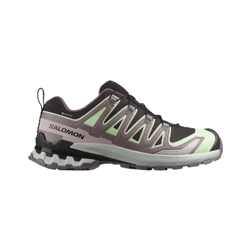 Salomon XA Pro 3D V9 GTX