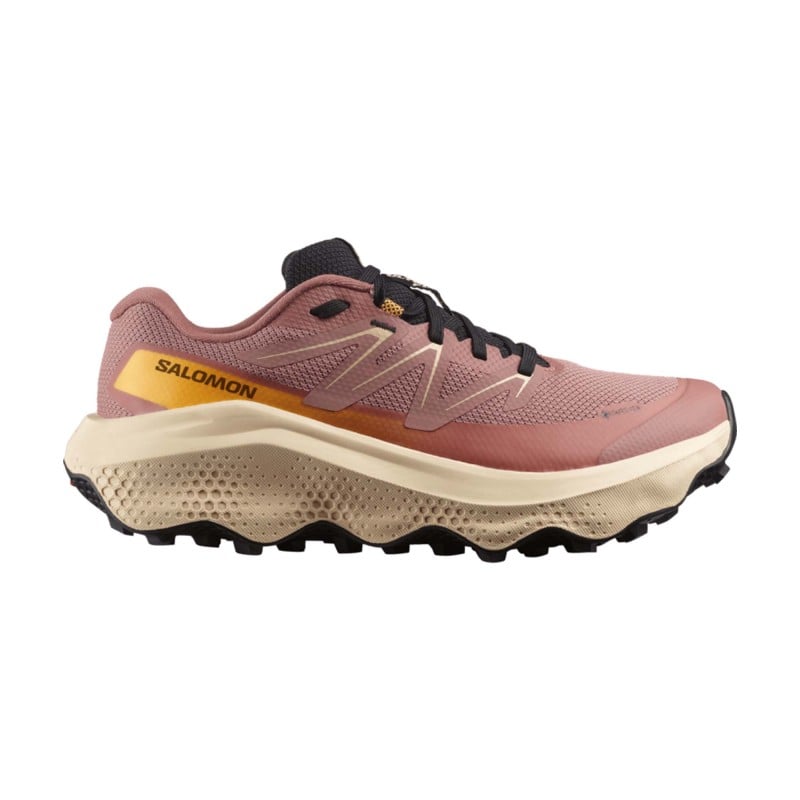 Salomon Ultra FLow 2 GTX