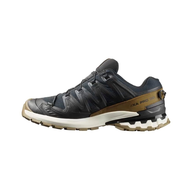 Salomon XA Pro 3D V9 GTX Lifelong