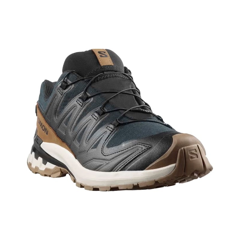 Salomon XA Pro 3D V9 GTX Lifelong