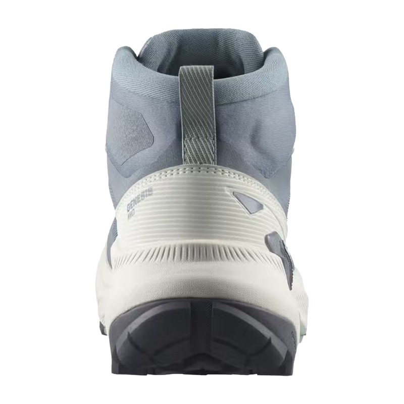 Salomon Genesis Mid GTX