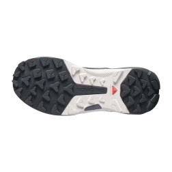 Salomon Genesis Mid GTX