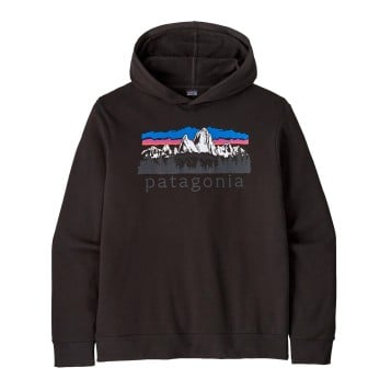 Patagonia Fitz Roy Foothills Daily Hoody