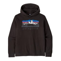 Patagonia Fitz Roy Foothills Daily Hoody