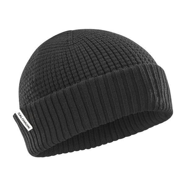 Salomon Docker Beanie