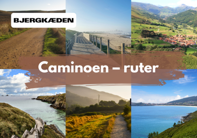 Caminoen 2026: De 6 bedste ruter til Santiago de Compostela, Portugués, del Norte og mange andre