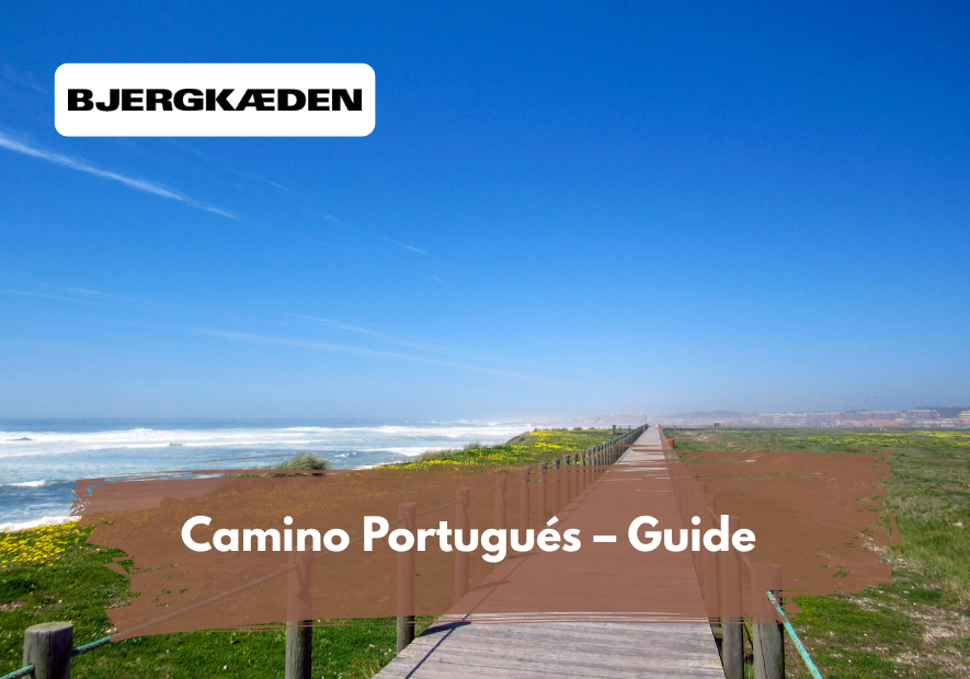 Camino Portugués: Guide til kystruten og indlandsruten