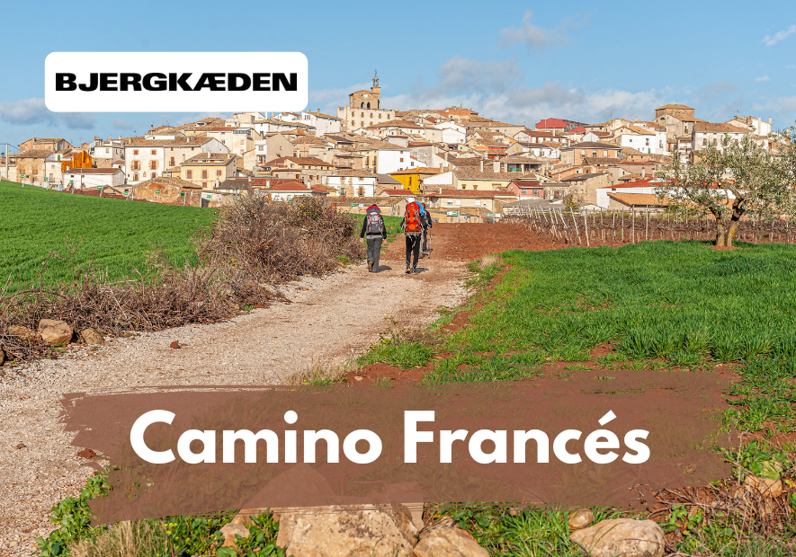 Camino Francés 2026: Guide til etaper, længde og Sarria